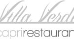 vv_logo