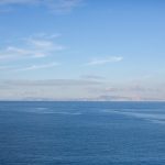 capri-hollywood-2021-12-28-5