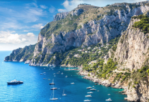 2025 CELEBRATING THE 30th YEAR OF CAPRI HOLLYWOOD